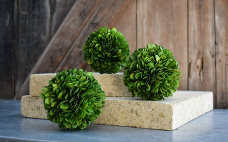 Boxwood World Real Boxwood Decorative Ball Large 10 Inches For Wedding Home gallery