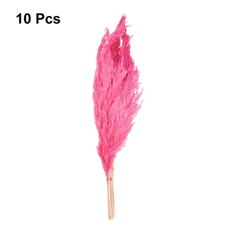 10PCS Purple Red Pampas Grass Decor, 17" Artificial Faux Dried Grass Flower gallery