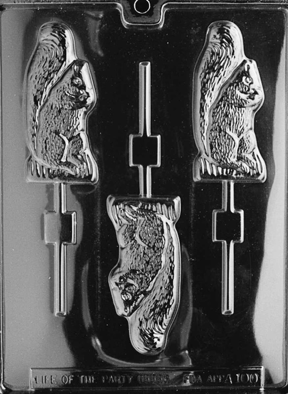 A100 Squirrel Lollipop Lolly Chocolate Candy Mold