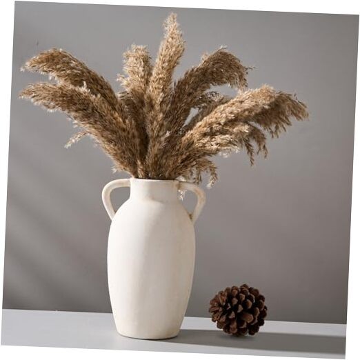 Ceramic Vase, 9.84 Inch Terracotta Vase with Handles, Boho Decor 9.84 in Beige