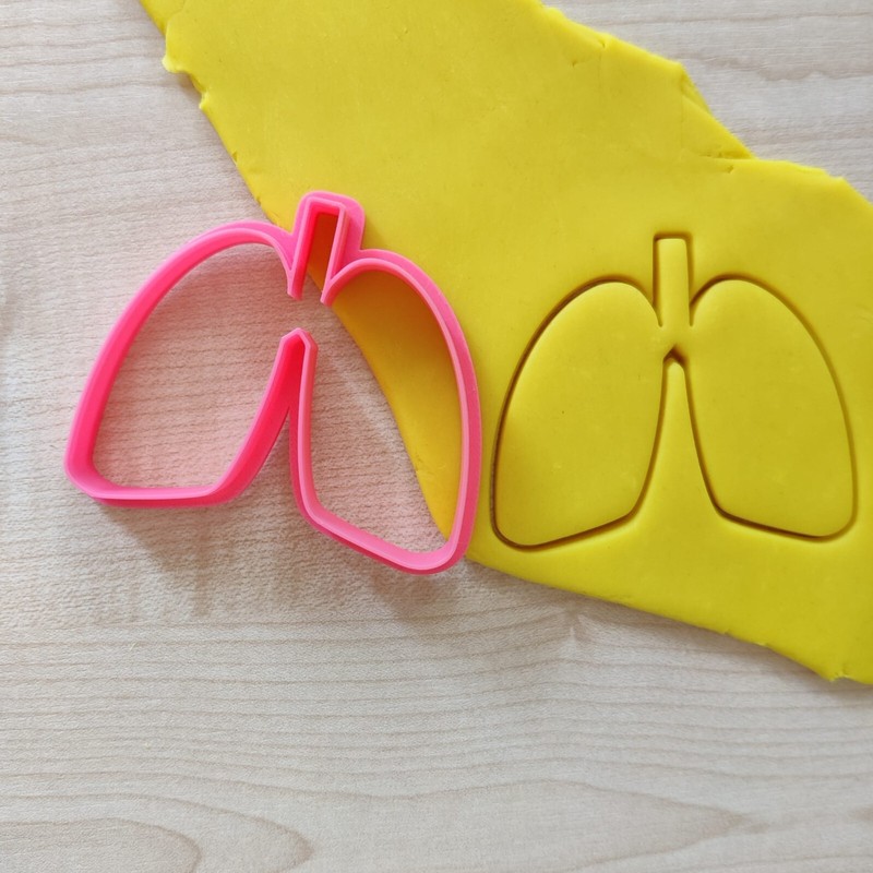 Anatomy Cookie Cutter Set, Medical Student Gift, Halloween Biscuit Stamp Stencil gallery