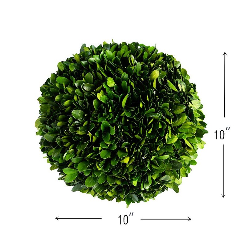 Boxwood World Real Boxwood Decorative Ball Large 10 Inches For Wedding Home gallery