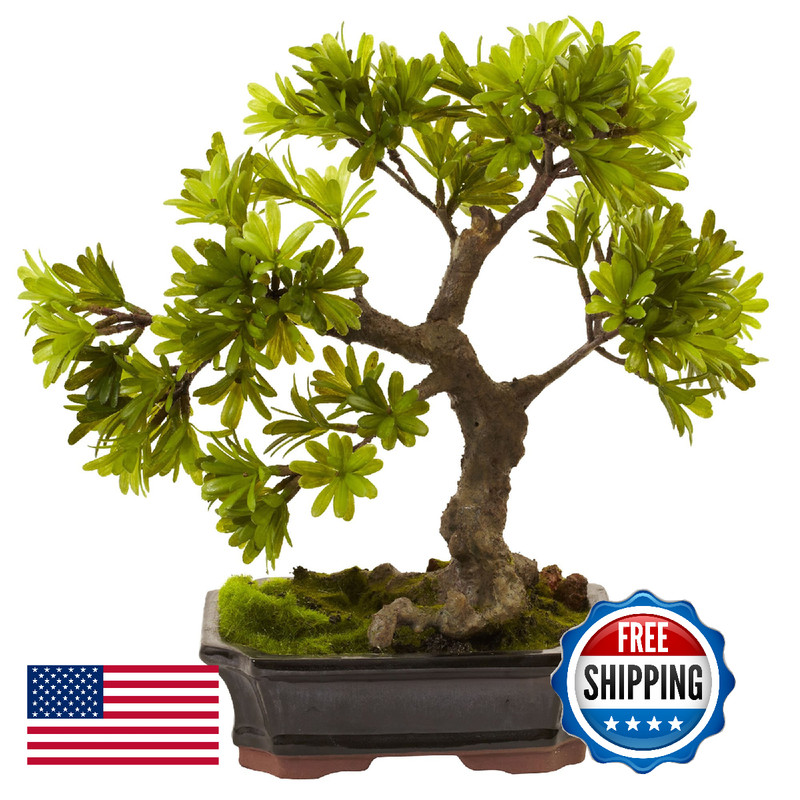Nearly Natural Podocarpus Mossed Bonsai Planter 4848