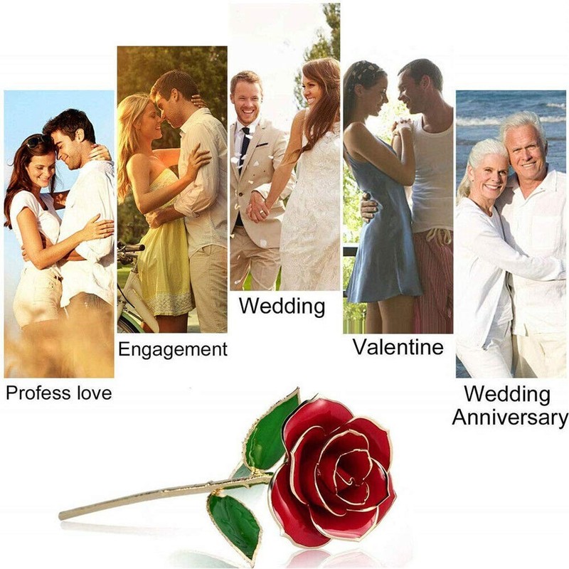 ENJOYPRO Valentines Day Gifts for Her, Real Rose Dipped Golden,Gold,Red,Rose gallery