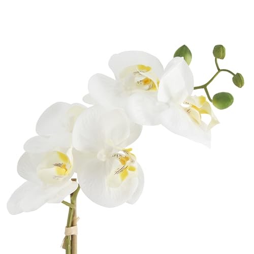 Orchids in Ceramic Pottery,Fake Orchid with Real Touch Stems, Faux 16in White gallery