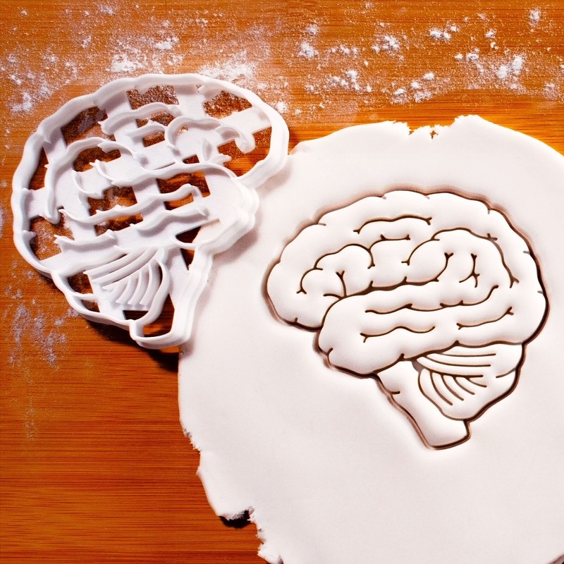 Lateral View Brain Cookie Cutter anatomy neuroscience neurology biology science