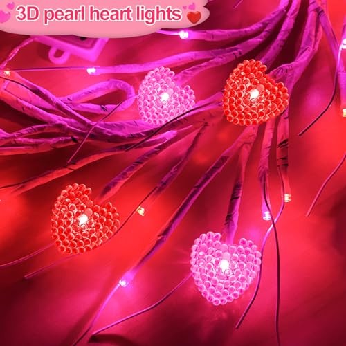 Dual Color & Timer 8 Modes - 6 FT 48 LED Prelit Lighted Christmas Valentines gallery