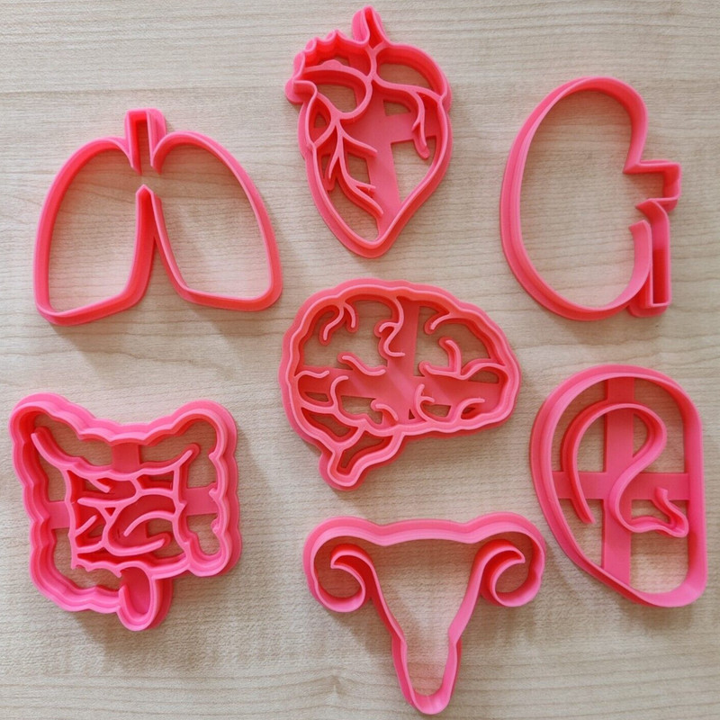 Anatomy Cookie Cutter Set, Medical Student Gift, Halloween Biscuit Stamp Stencil