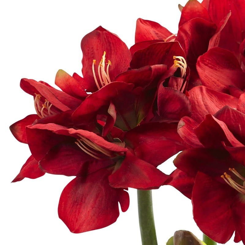 Nearly Natural Amaryllis Arrangement Vase gallery