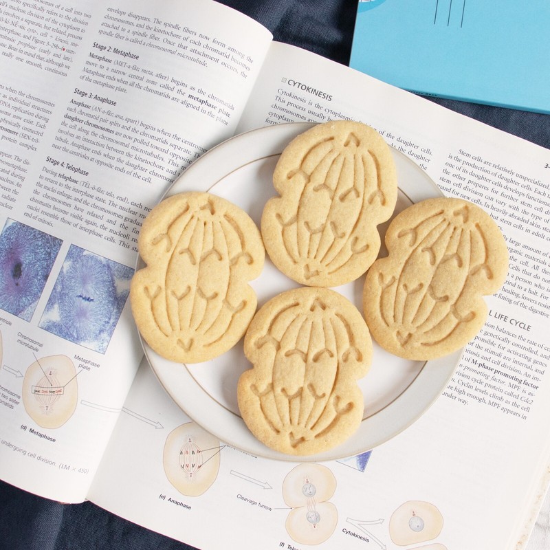 Anaphase Mitosis Cookie Cutter - mitotic microbiology laboratory science cell gallery