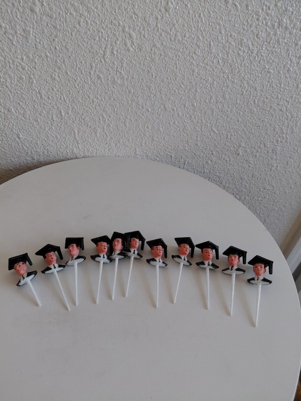 Lot of 11 Vintage Graduation Boy Male Cake Cupcake Picks Toppers Brown Hair