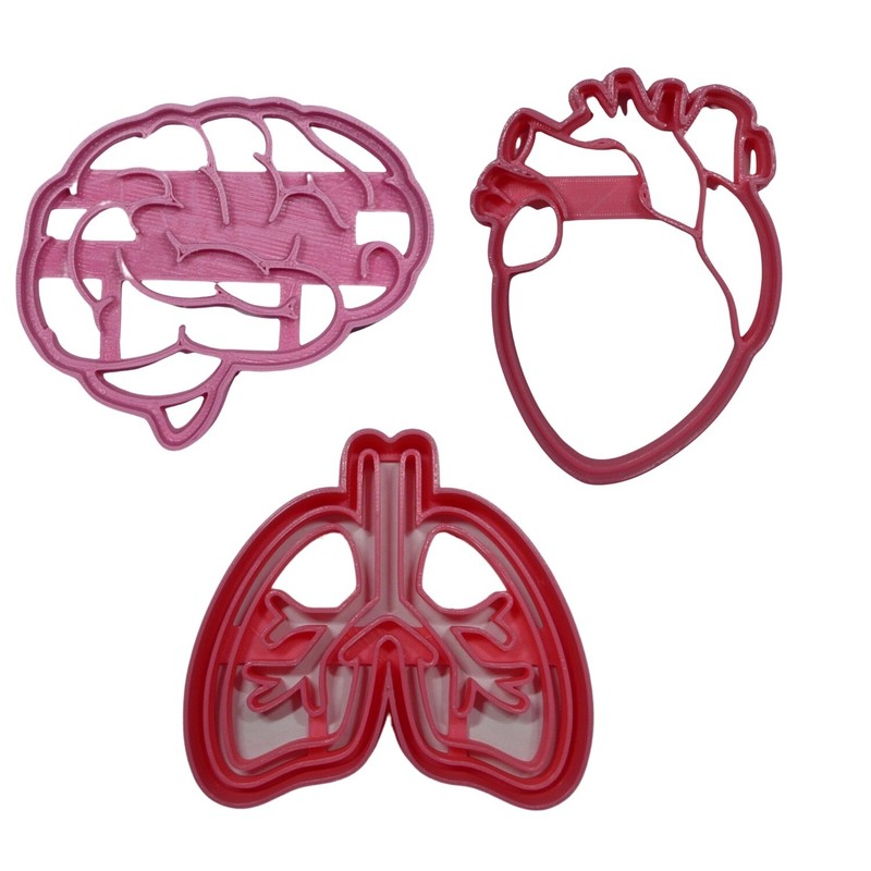 ORGANS BRAIN HEART AND LUNGS SET OF 3 COOKIE CUTTERS MADE IN USA PR1985