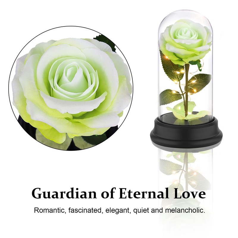 Deluxsa Mom Gifts for Mothers Day Rose Flower Women, Mother Green gallery