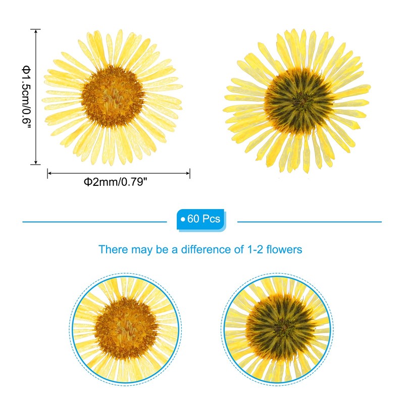 60 Pcs Dried Pressed Flower for Resin DIY Crafts Decors Yellow gallery
