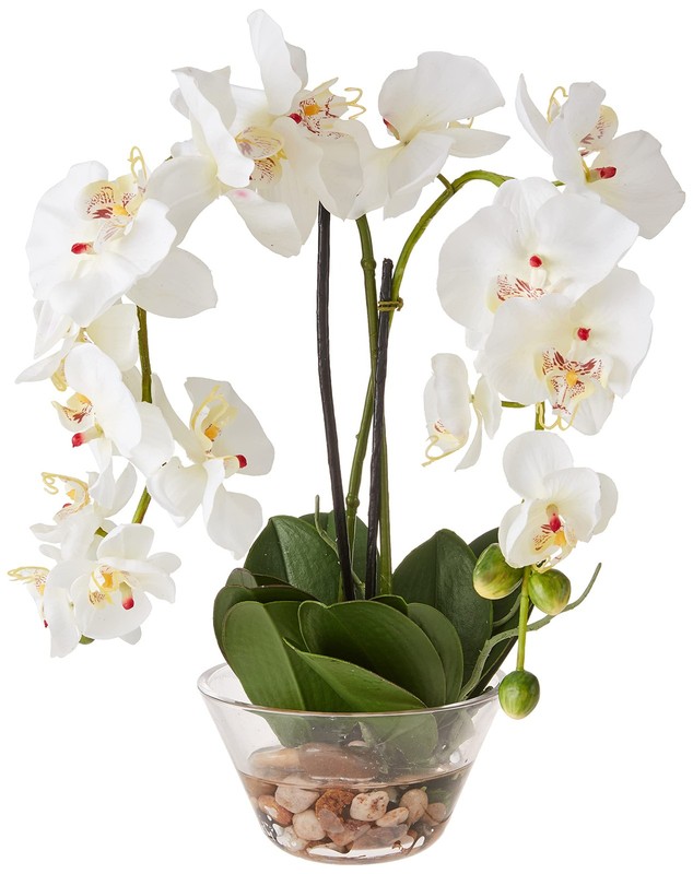 Nearly Natural 4643-Wh Phalaenopsis Glass Vase Decorative Silk Flower
