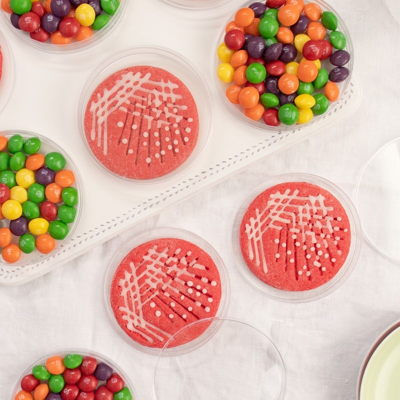 Quadrant Streak Petri Dish Cookie Cutter - cell culture laboratory microbiology gallery