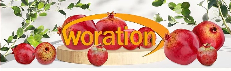 Worat 12 PCS Fake Artificial Small Red s Set Simulat Fruit gallery