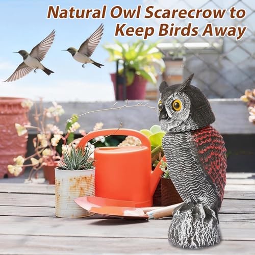Fake Owl Decoys to Scare Birds Away-5.8 Inch, Rotating Head Sculptures, 1 gallery