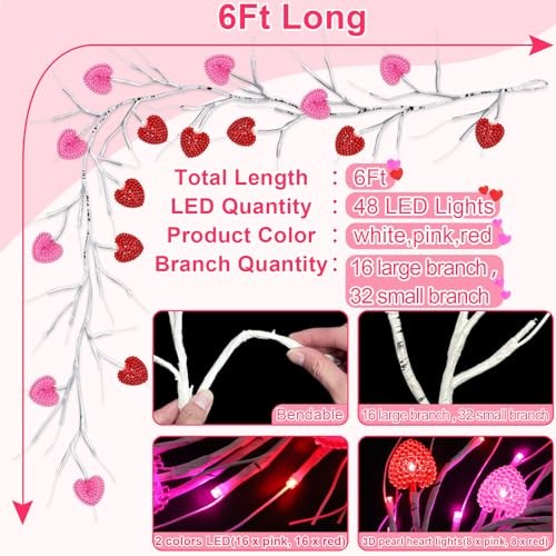 Dual Color & Timer 8 Modes - 6 FT 48 LED Prelit Lighted Christmas Valentines gallery