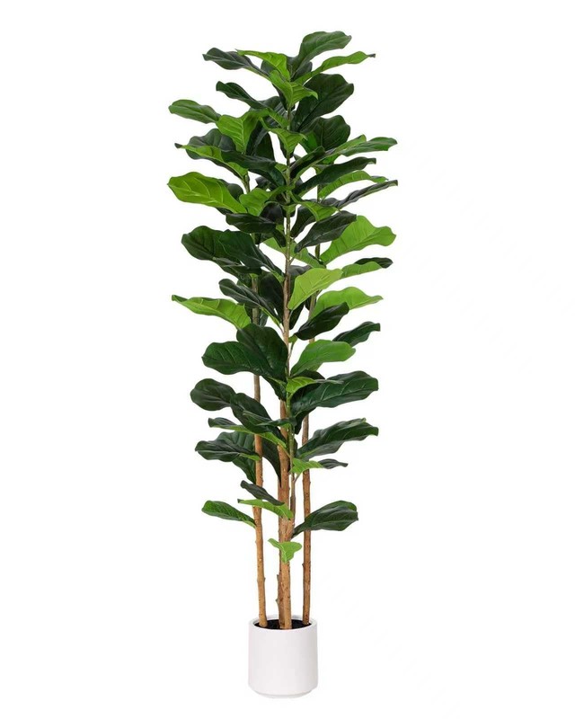 Floworld Fiddle Leaf Fig Tree 6Ft Faux Trees Indoortall Faketree Decorative