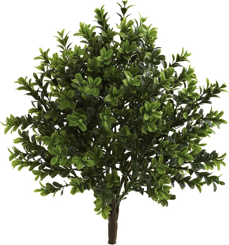 6113-S6 Sweet Grass Bush (Set of 6) (Indoor/Outdoor), 6 Piece,Green