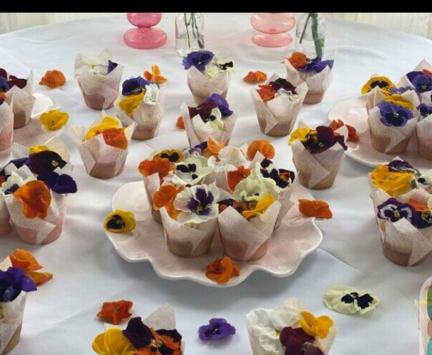 Edible Fresh Garnish Gourmet Ice Cube Blooms Free Overnight Ship WEDNESDAYS 100 gallery