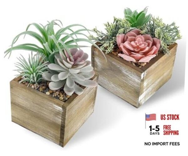 Pack Fake Plants Succulents Plants Artificial Cactus Plants in Wood Pots 2
